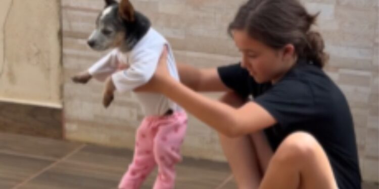 Cachorrinho esbanja paciência ao ser vestido com roupas de bebê