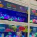 Global Pet Expo 2026 Highlights from Aquatics