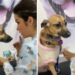 Cachorrinha faz ‘drama’ antes mesmo da coleta de sangue começar