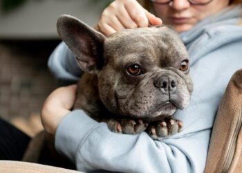 Os pets estão vivendo mais ou envelhecendo por mais tempo?
