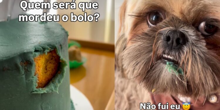 Shih tzu é “desmascarado” após aparecer com a boca suja de bolo