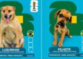‘Cãovocação’ coloca pets de canil na disputa por um lar