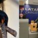 Mico-leão-de-cara-dourada é transportado de avião para Curitiba