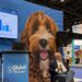 APPA State of the Industry Report 2026 Insights