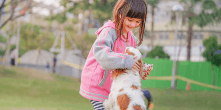 AVMA Dog Bite Prevention Week: Essential Tips