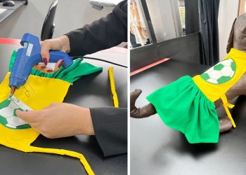 aprenda a fazer vestido temático para cães