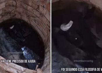 Vaca Vaclene é resgatada após cair em fossa e ficar presa