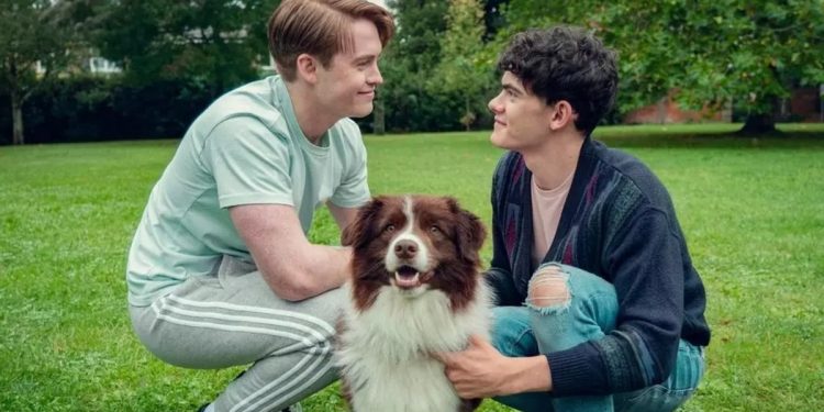 Morre Echo, cão que interpretou Nellie em Heartstopper